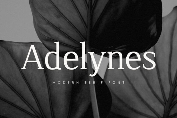 Adelynes: A Modern Serif Font for Web Design