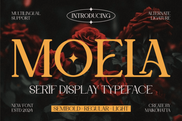 Moela: A Serif Font for Elegant and Sharp Campaigns