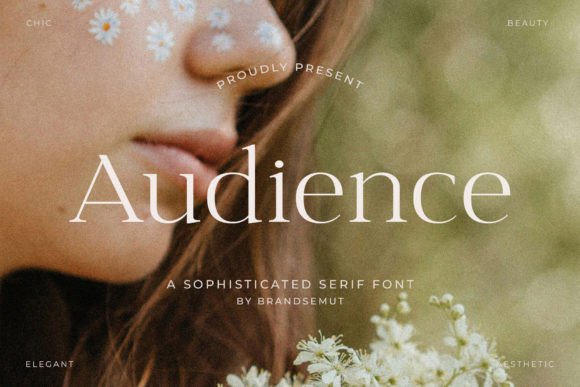 Transform Your Brand with Audience: A Sophisticated Serif Font